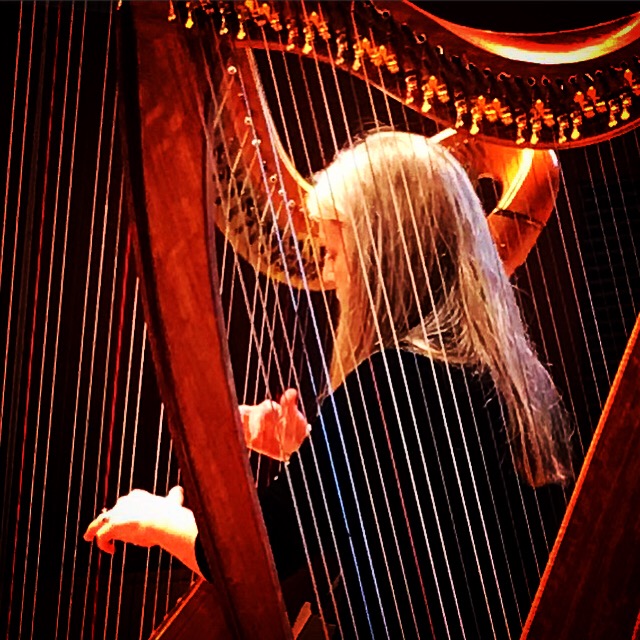 Anne Morse-Hambrock 2 harps